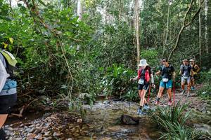 BIB: 
                            <button type="button" onclick="openModal(22348671)" class="btn btn-primary btn-sm float-right btn-popup" data-toggle="modal" data-target=".modal-high-quality">
                        <i class="fas fa-shopping-cart"></i> Add to Cart
                    </button>
                                            <button type="button" onclick="isThisMe(22348671, true)" class="btn btn-success btn-sm float-right btn-popup btn-isme hidden" data-toggle="tooltip" data-placement="bottom" title="นี่คือรูปของคุณใช่ไหม คลิกที่นี่เพื่อเอาเข้าอัลบั้ม">
                        <i class="fas fa-plus"></i> Add to album
                    </button>
                    <button type="button" onclick="isThisMe(22348671, false)" class="btn btn-warning btn-sm float-right btn-popup btn-isnotme hidden">
                        <i class="fas fa-ban"></i> Remove from album
                    </button>